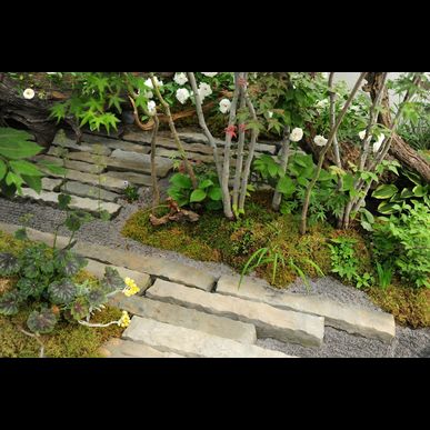 福岡・佐賀で庭木の伐採なら当社の見積もりをご利用ください