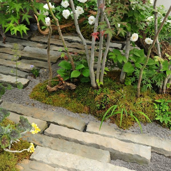 福岡・佐賀で庭木の伐採なら当社の見積もりをご利用ください